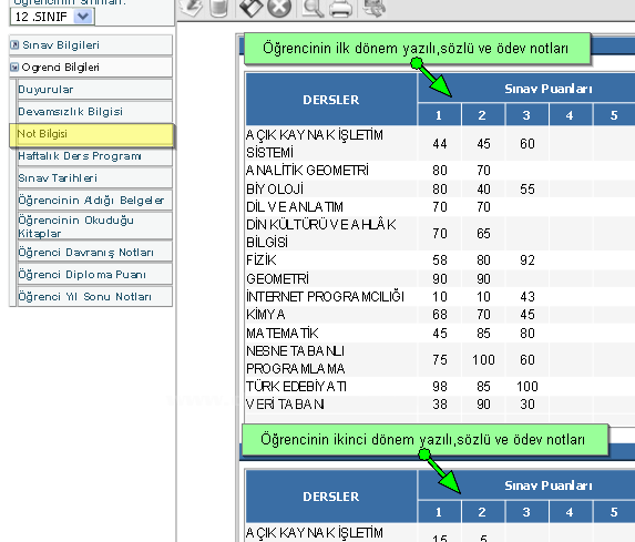 E-okulun Kullanımı